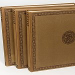 Great Picture Books of WWI w/6000 photos on 1200+ pp 3 Vol. 1919