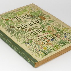 German Flora Album 1930s Forest and Meadow w/175 botanical color cards
