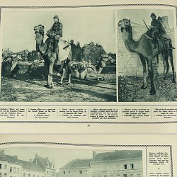 1915 Great War Photo Album No. 5 - Sinai Camels, Krupp Works, Ypres