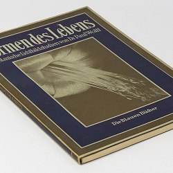 Dr. Paul Wolff Photo Book 1931 Botanical Studies w/120 b&w pictures