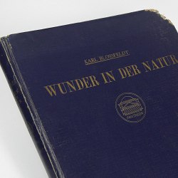 Karl Blossfeldt Book /w 120 gravure German Book 1942 Botany Miracles